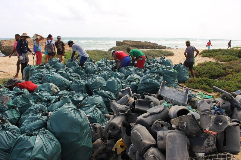 Image for BOA Vista Cleanup & Recycling